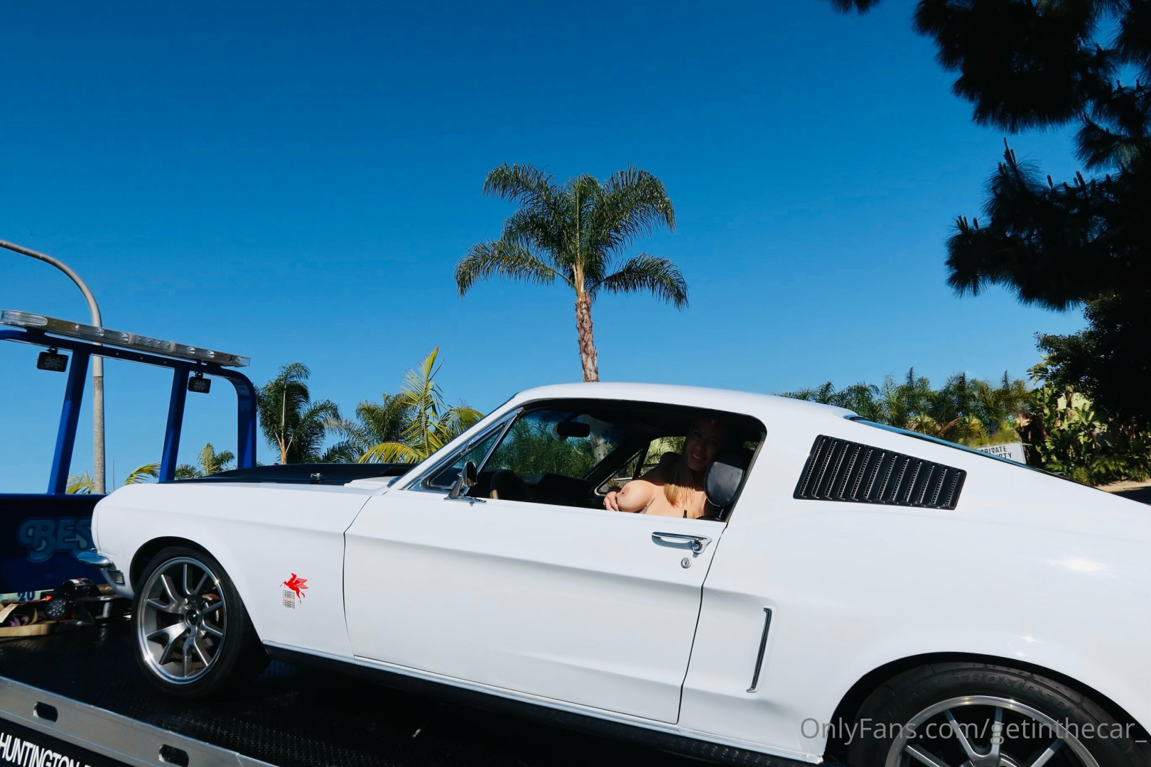 Photo by getinthecar_ published on August 30,2023 05:46:30 - BestThots