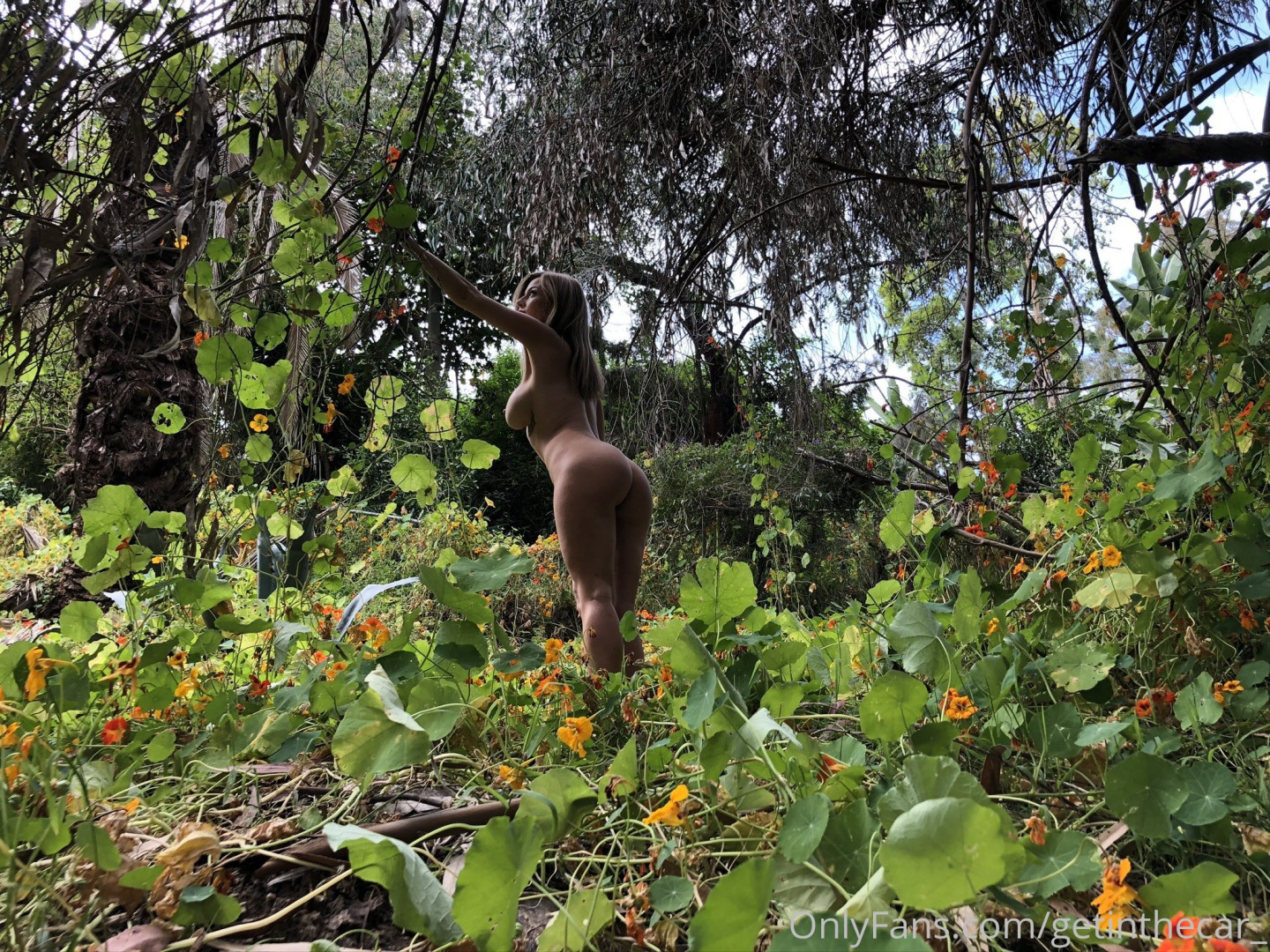 Photo by getinthecar_ published on August 30,2023 06:18:42 - BestThots