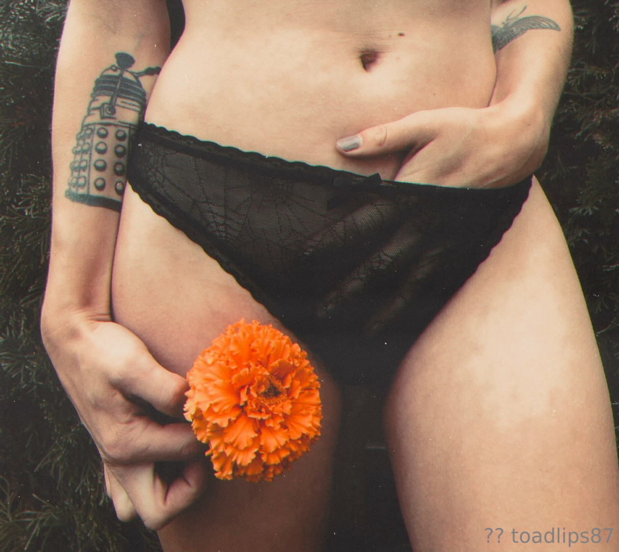 Photo by toadlips87 published on June 12,2023 18:54:42 - BestThots