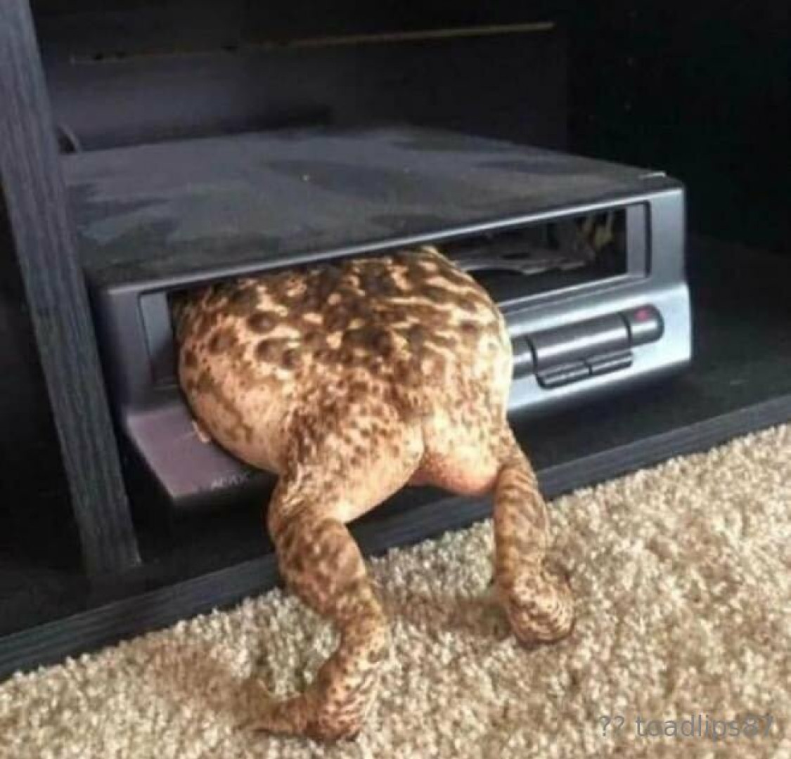 Photo by toadlips87 published on June 12,2023 18:57:42 - BestThots