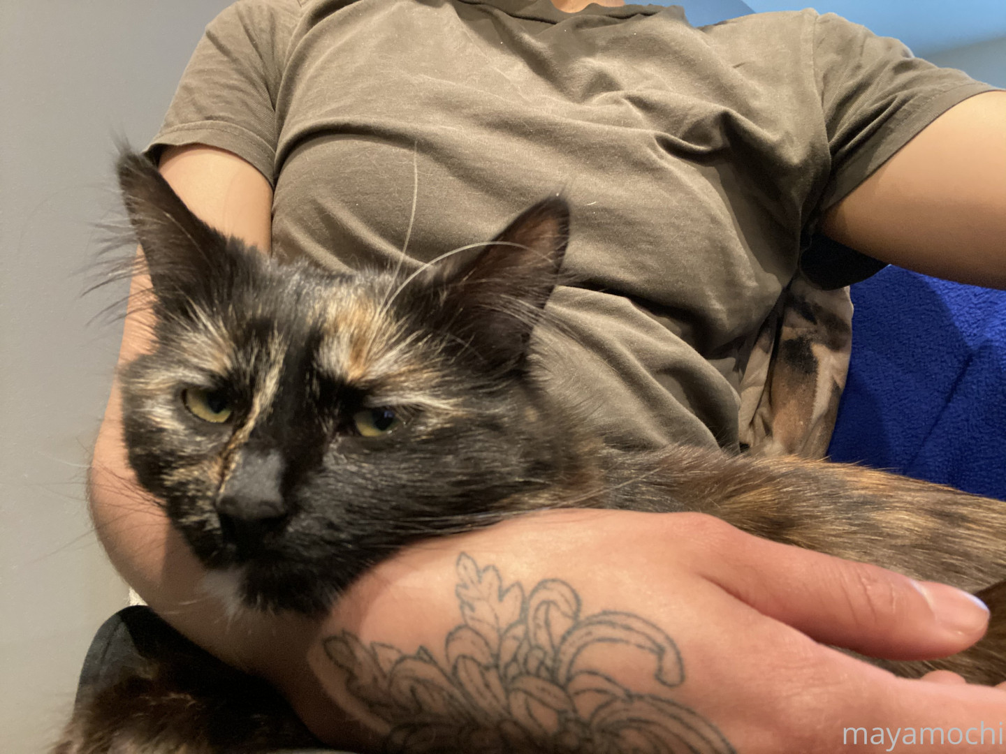 Photo by mayamochi published on May 21,2023 19:44:07 - BestThots