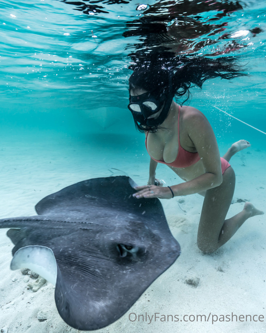 Photo by pashence published on June 15,2023 08:05:32 - BestThots