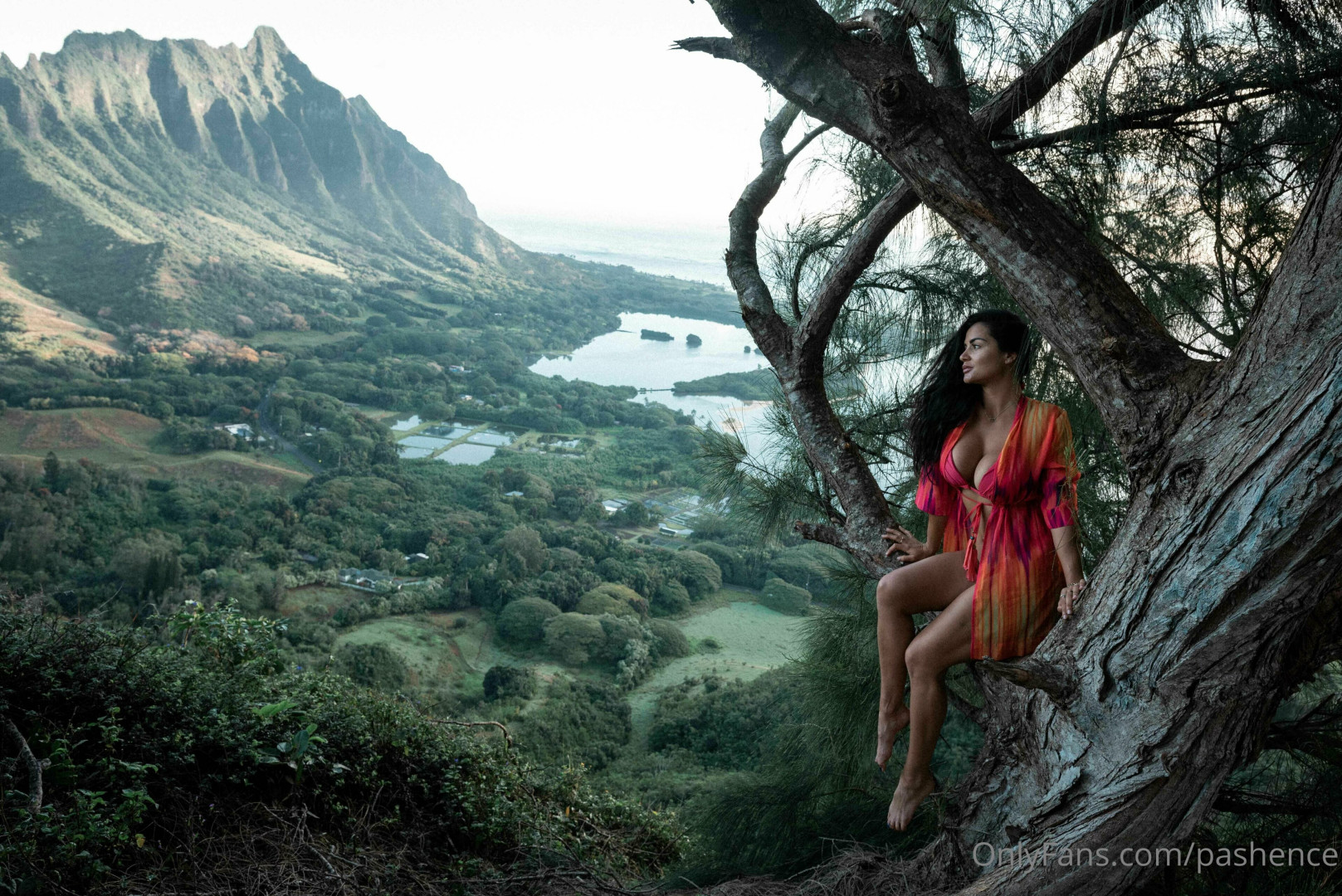 Photo by pashence published on June 15,2023 08:08:58 - BestThots