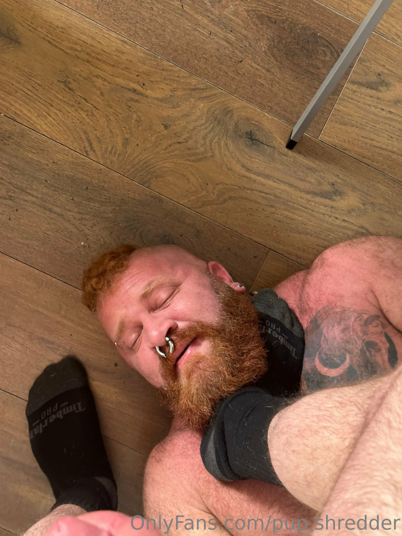 Photo by pup.shredder published on October 12,2023 04:44:29 - BestThots