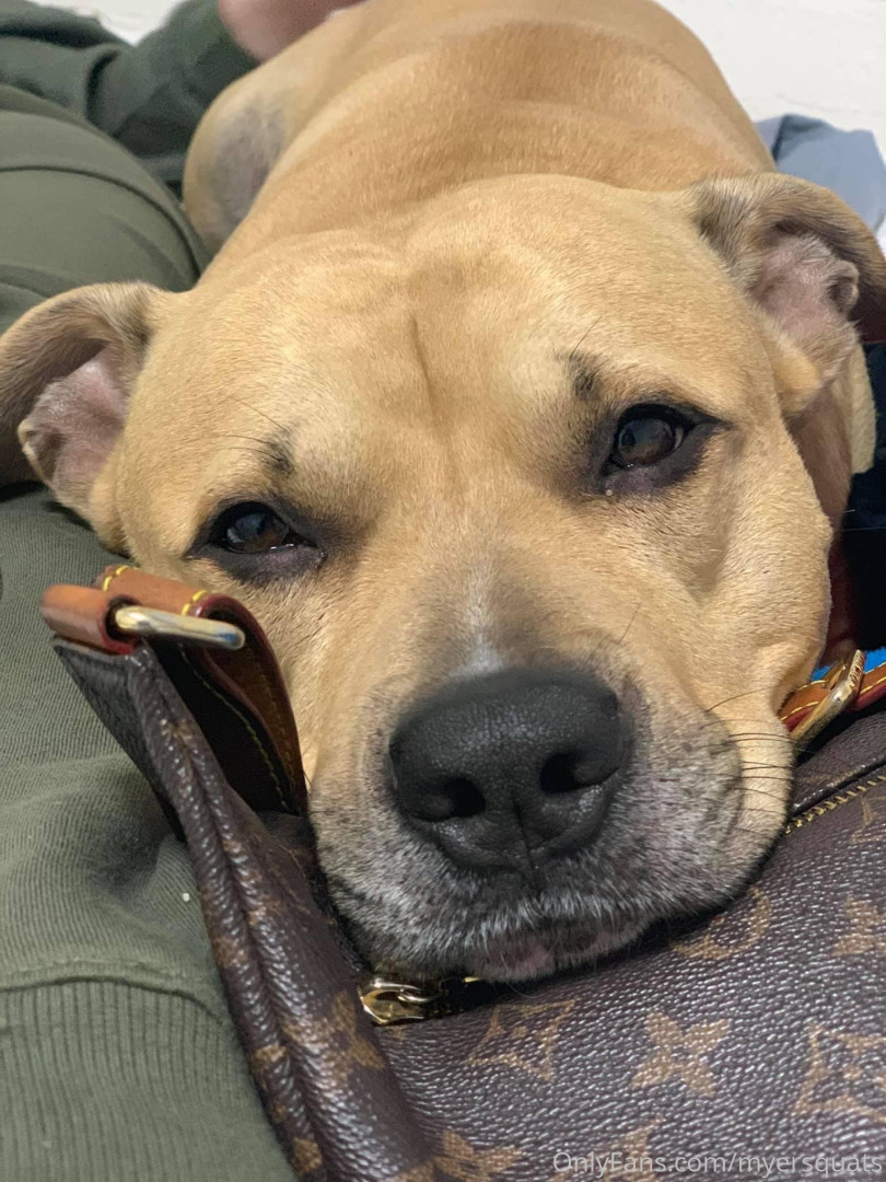 Photo by myersquats published on August 19,2023 15:18:41 - BestThots