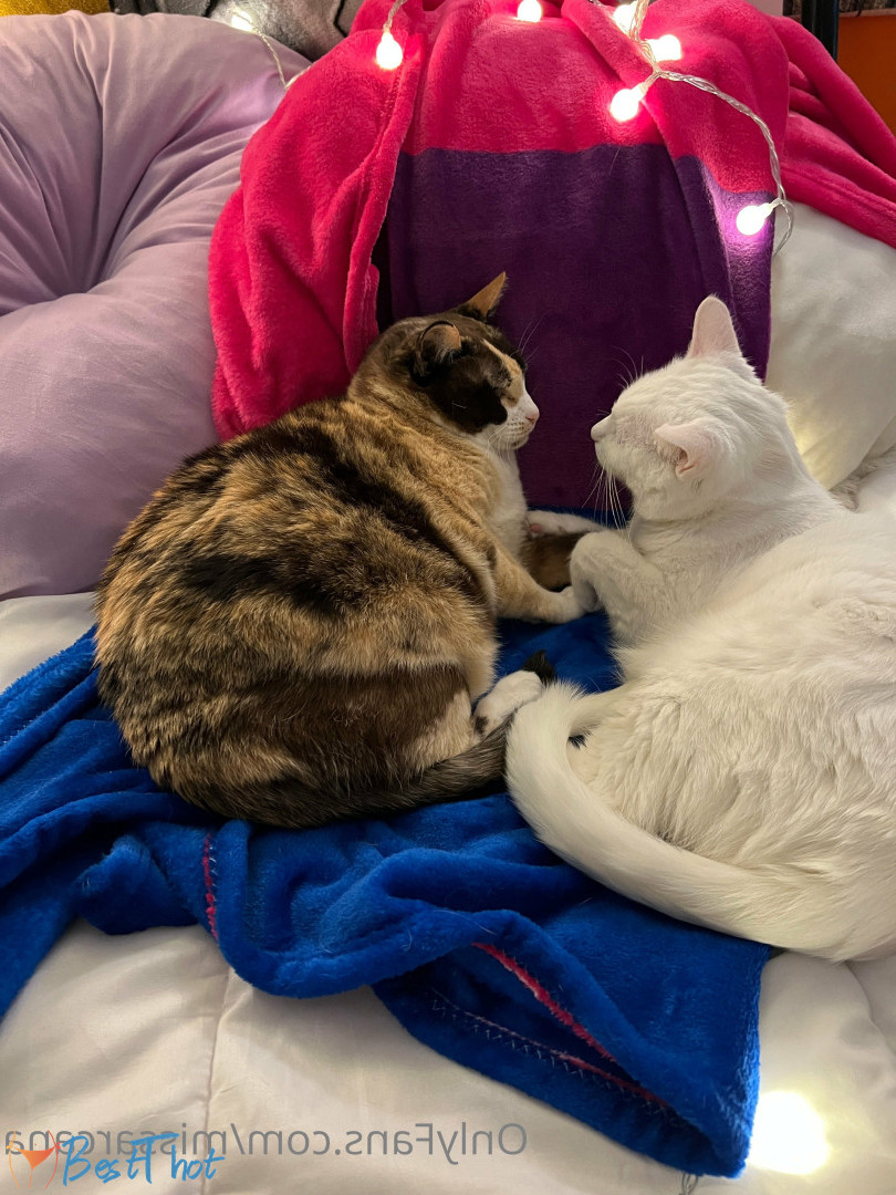 Photo by missarcana published on January 1,2025 16:19:43 - BestThots