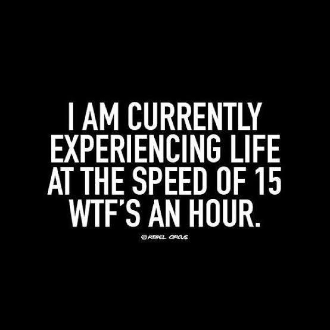 Photo by allyson_grey published on August 31,2023 22:55:19 - BestThots