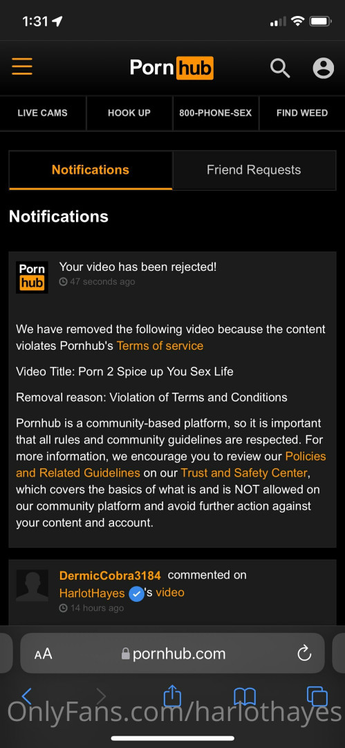 Photo by harlothayes published on May 26,2023 04:44:11 - BestThots