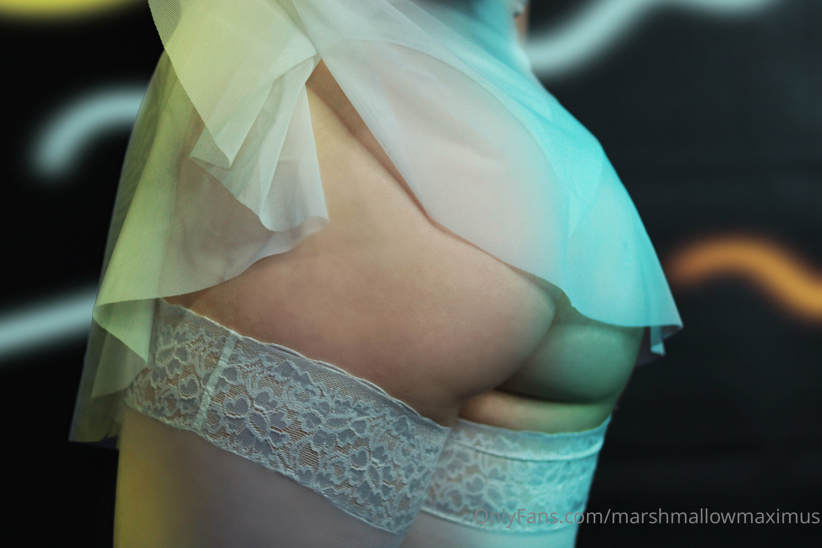 Photo by marshmallowmaximus published on June 26,2023 09:25:43 - BestThots