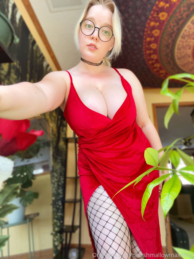 Photo by marshmallowmaximus published on June 26,2023 09:26:48 - BestThots
