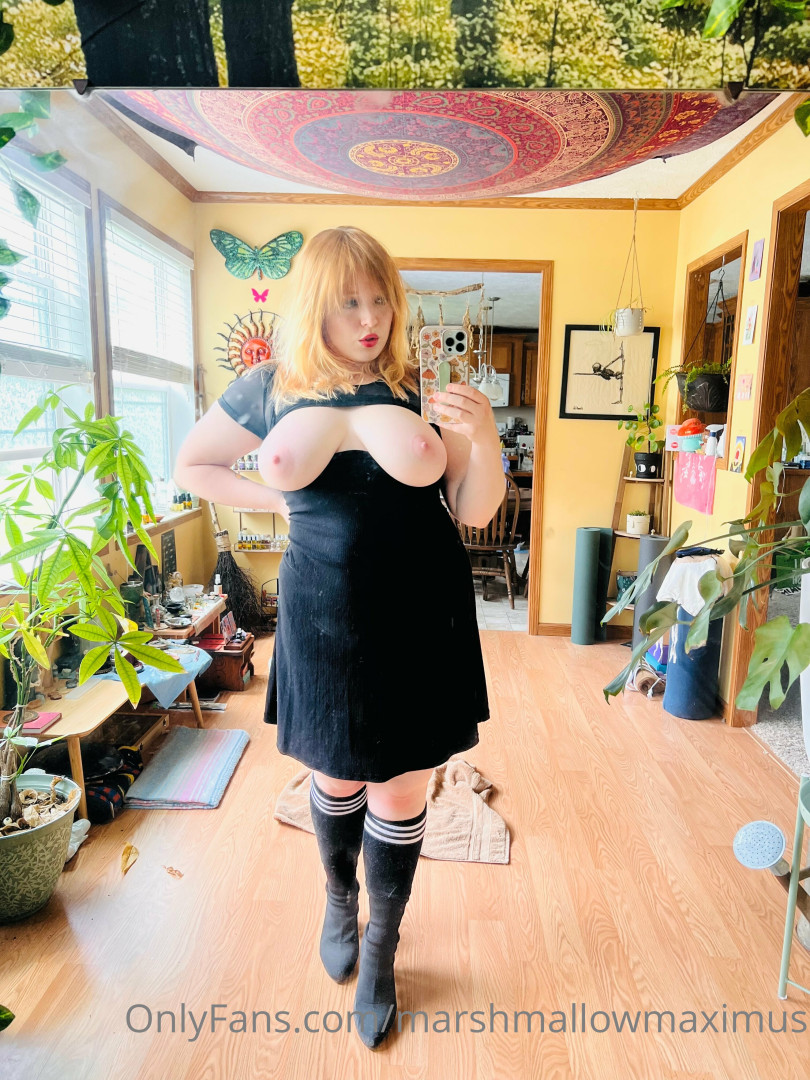 Photo by marshmallowmaximus published on June 26,2023 09:48:34 - BestThots