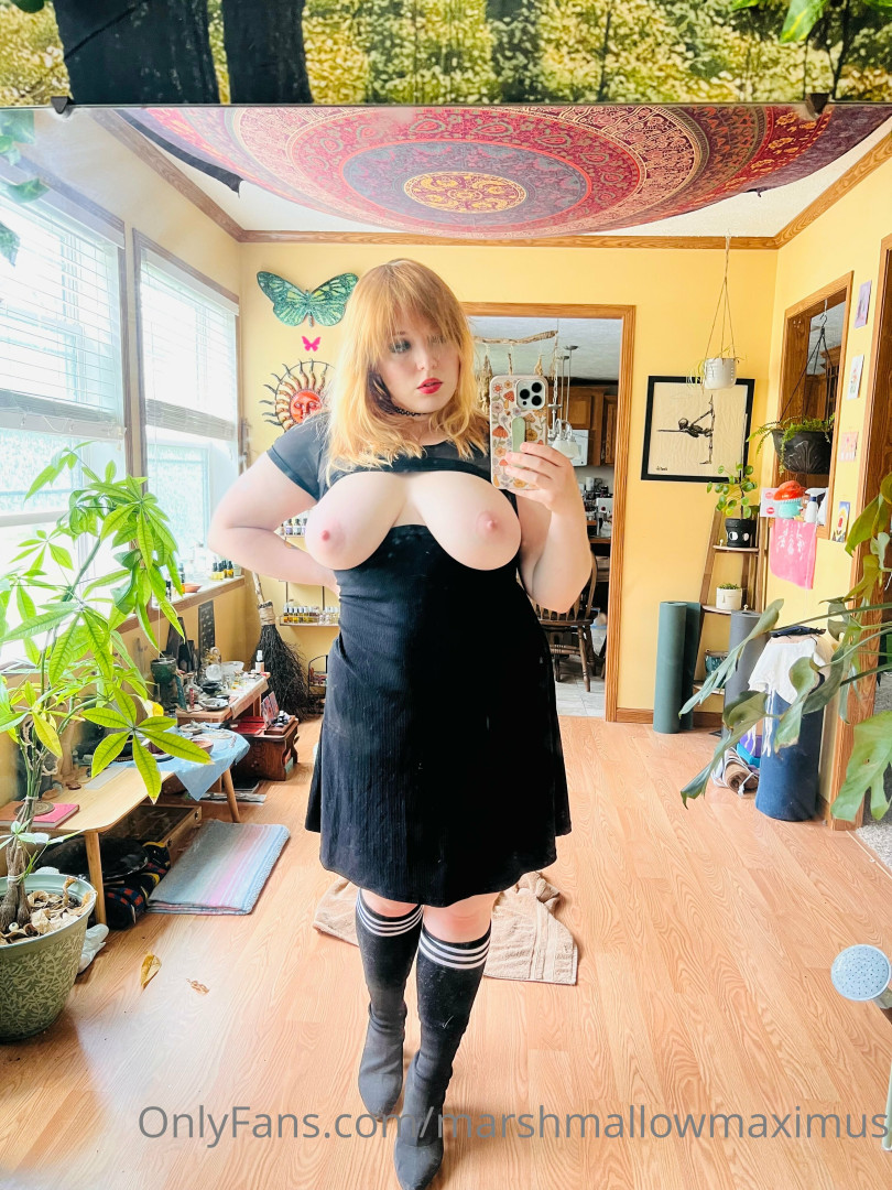 Photo by marshmallowmaximus published on June 26,2023 09:50:29 - BestThots