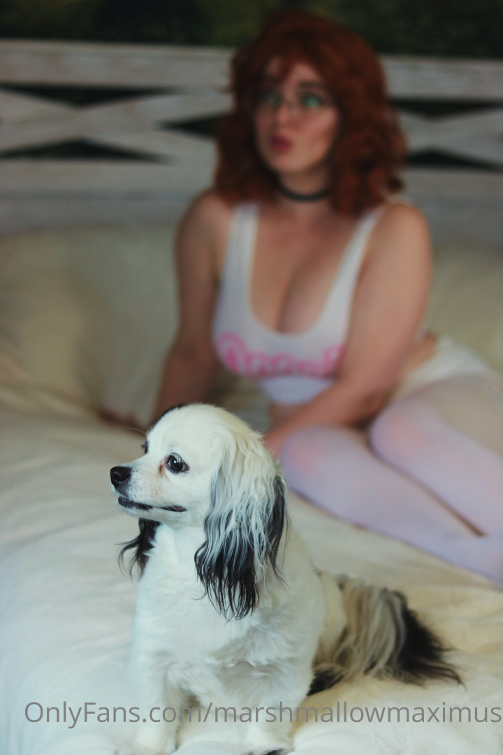 Photo by marshmallowmaximus published on June 26,2023 09:58:15 - BestThots