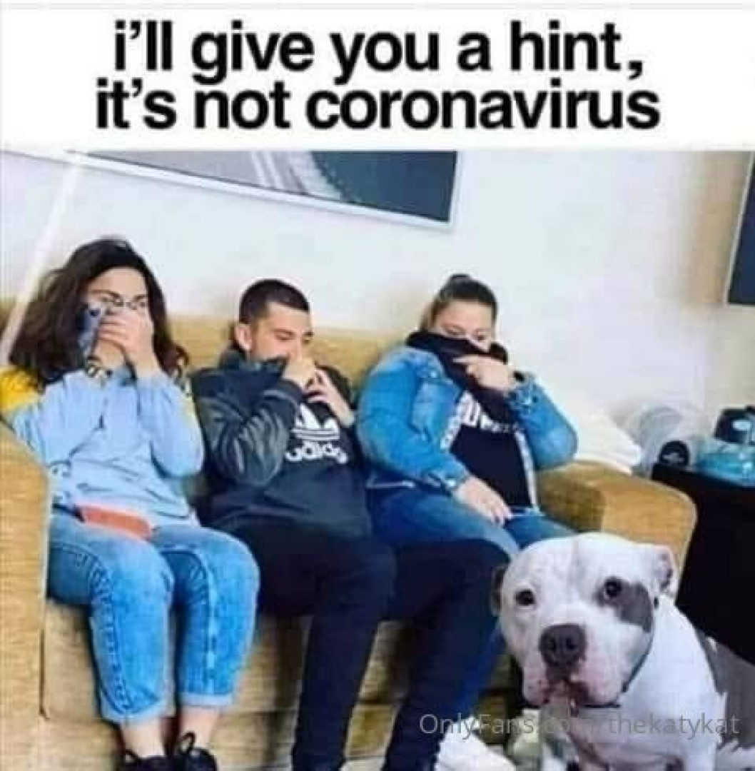 Photo by thekatykat published on June 24,2023 17:47:20 - BestThots