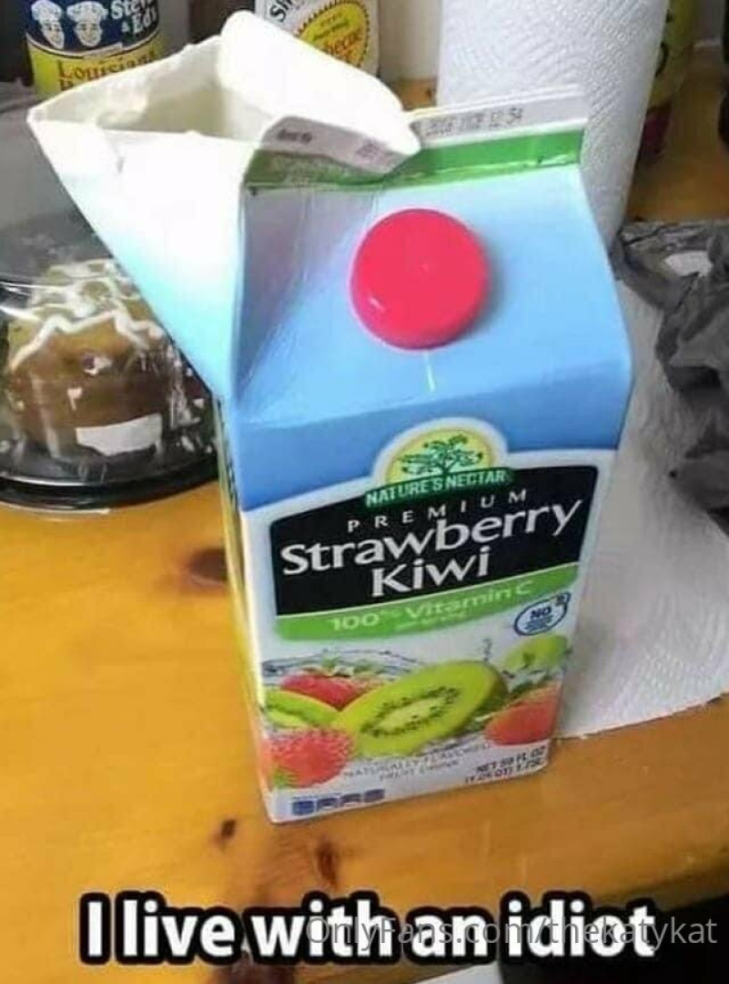 Photo by thekatykat published on June 24,2023 17:47:44 - BestThots