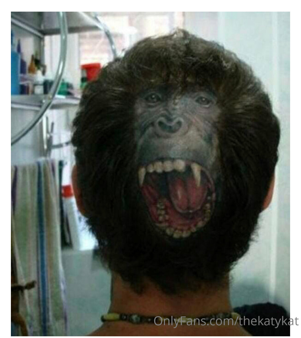 Photo by thekatykat published on June 24,2023 17:48:14 - BestThots