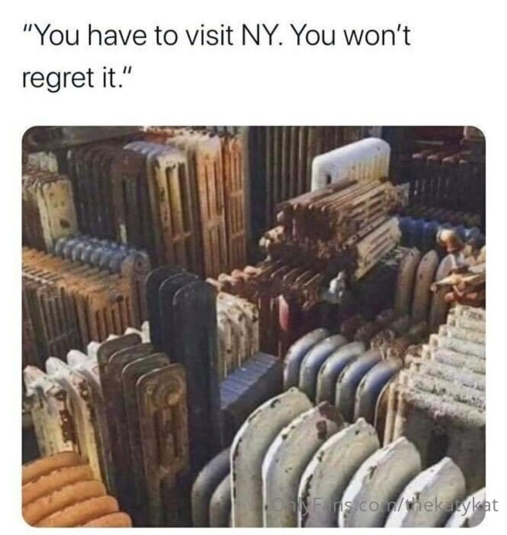 Photo by thekatykat published on June 24,2023 17:48:25 - BestThots