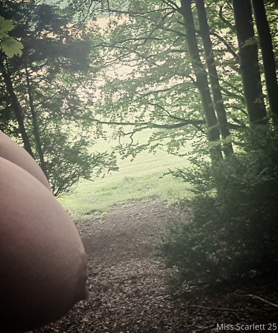 Photo by missscarlett25 published on June 7,2023 04:59:35 - BestThots