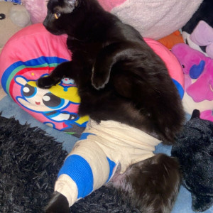 kayla.lavigne #2024551