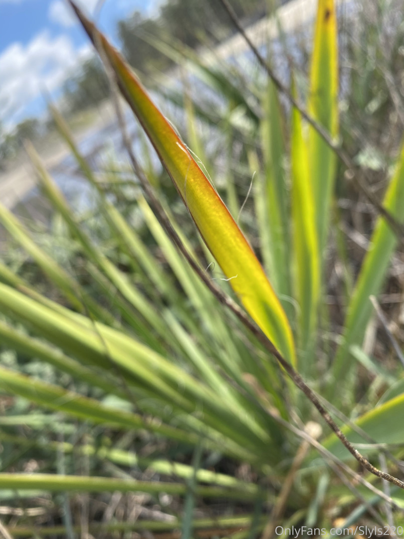 Photo by slyis220 published on May 17,2023 22:16:30 - BestThots