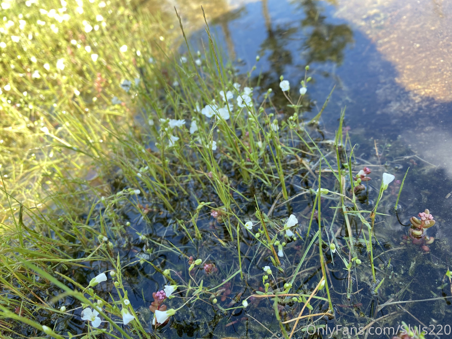 Photo by slyis220 published on May 17,2023 22:17:04 - BestThots