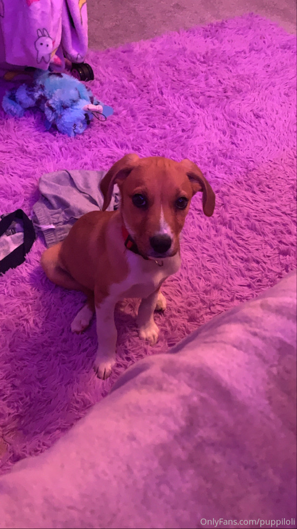 Photo by puppiloli published on October 12,2023 04:37:58 - BestThots