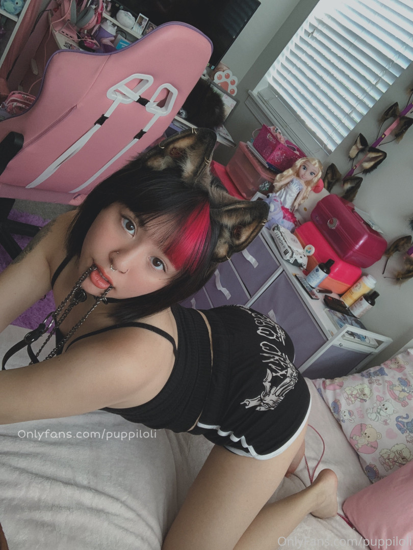 Photo by puppiloli published on October 12,2023 06:17:30 - BestThots