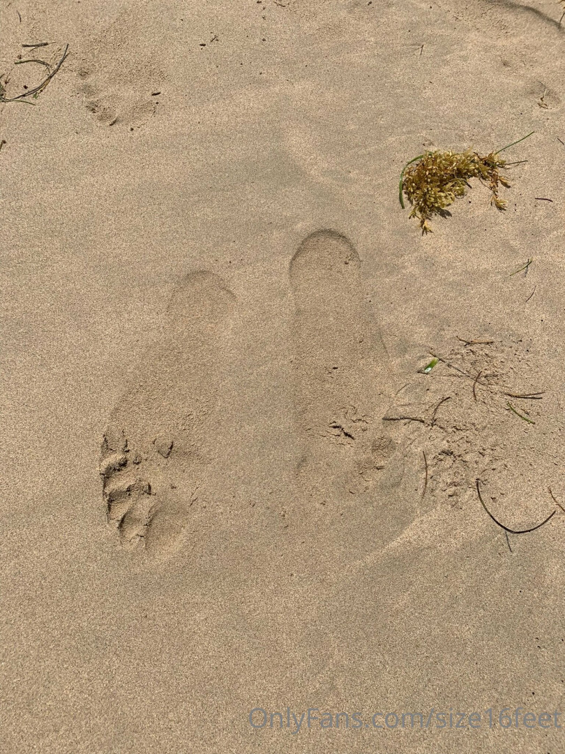 Photo by size16feet published on May 17,2023 23:36:45 - BestThots