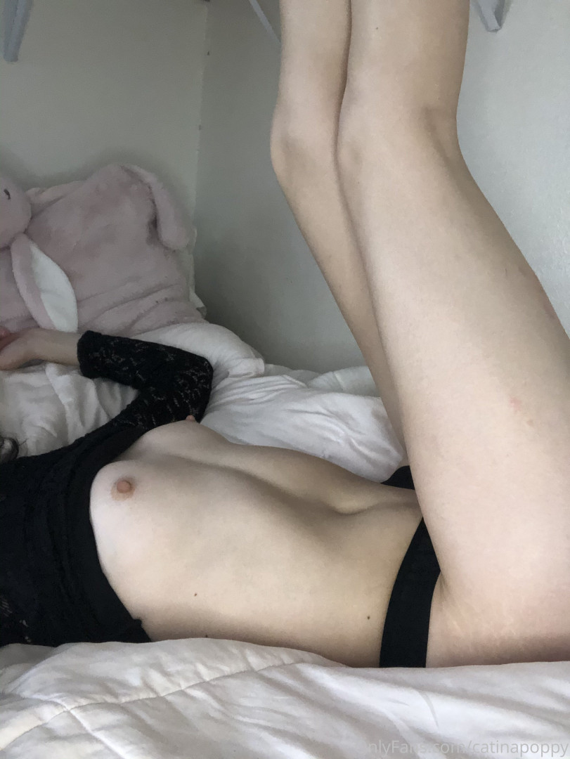 Photo by catinapoppy published on June 10,2023 17:53:16 - BestThots