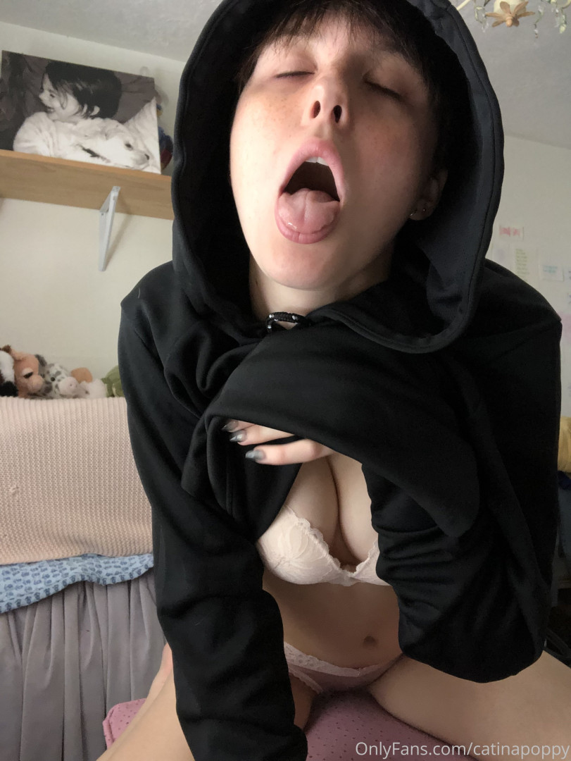 Photo by catinapoppy published on June 10,2023 17:53:59 - BestThots