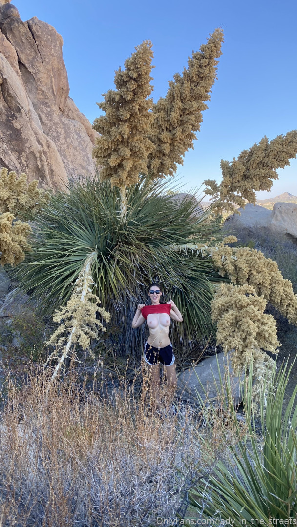 Photo by lady_in_the_streets published on August 29,2023 02:20:08 - BestThots