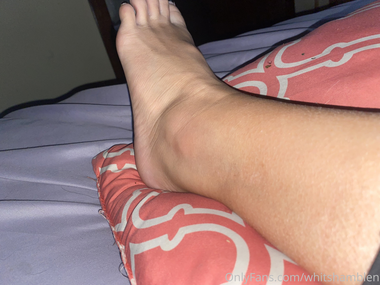 Photo by whitshamblen published on May 16,2023 01:34:07 - BestThots