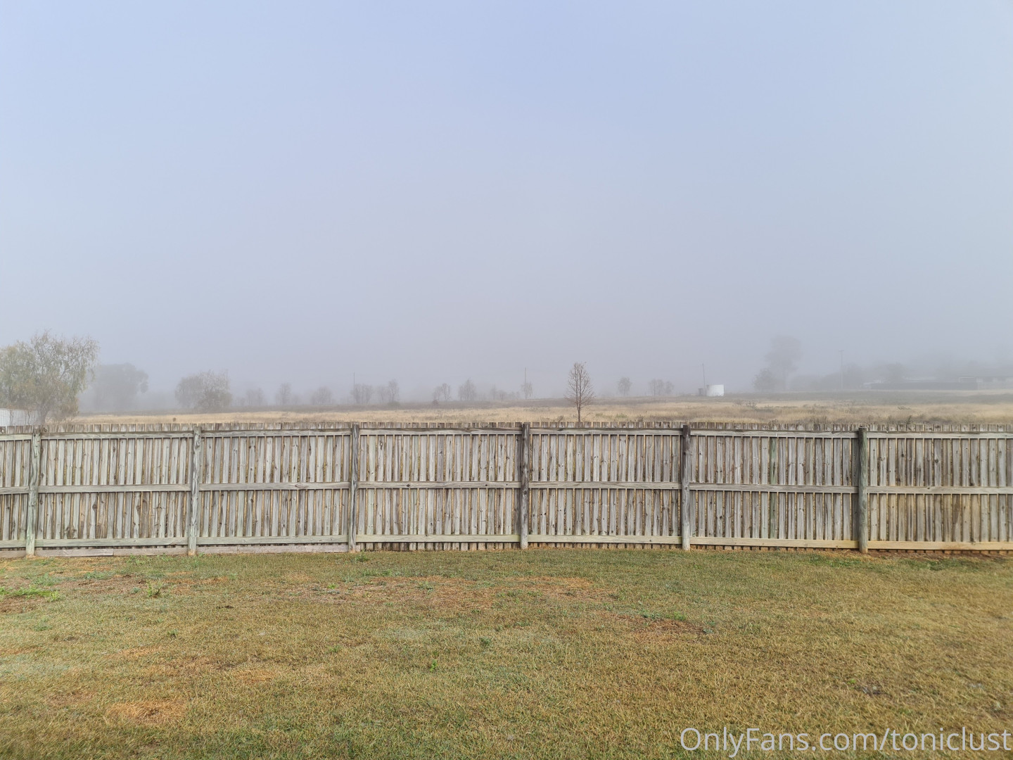 Photo by toniclust published on July 2,2023 01:57:17 - BestThots