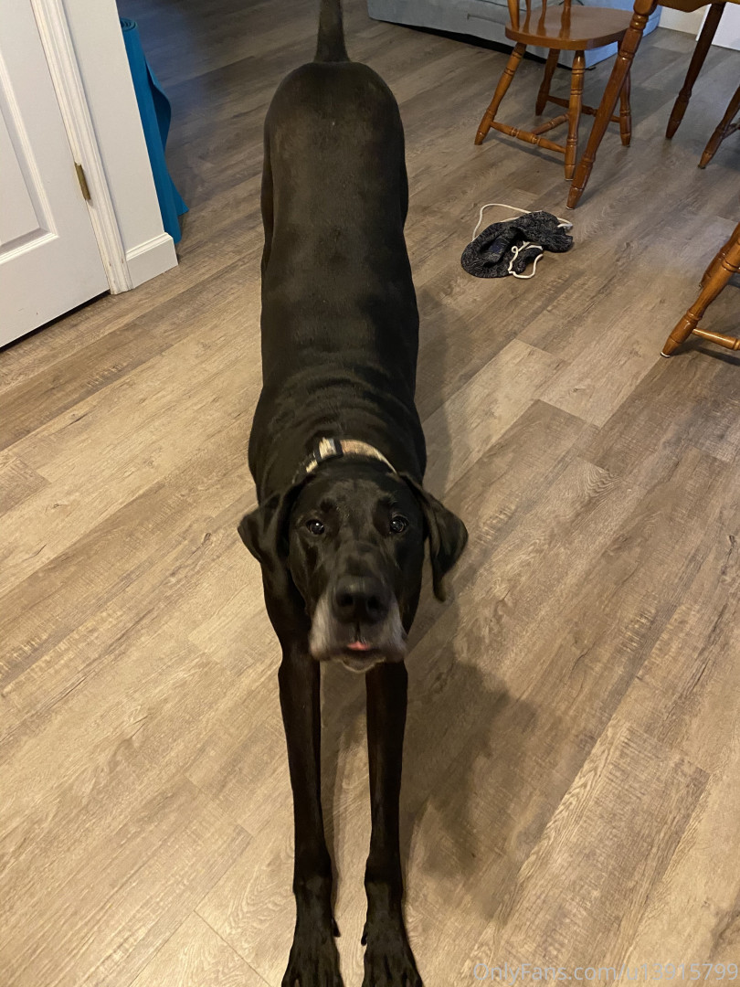 Photo by notsoinocent.asian published on October 15,2023 11:52:28 - BestThots