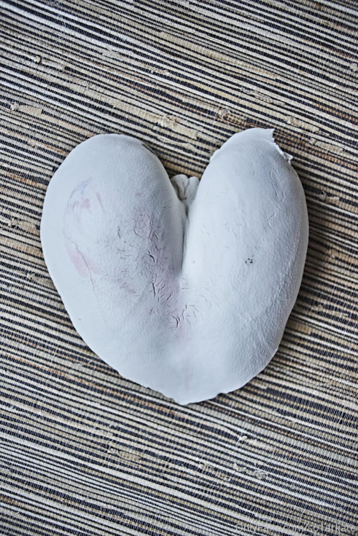 Photo by so1arkate published on May 17,2023 20:51:40 - BestThots