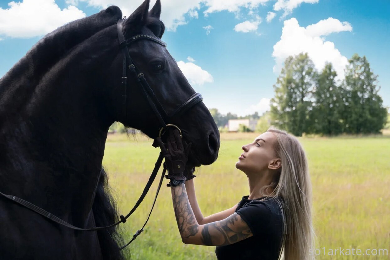 Photo by so1arkate published on May 17,2023 20:54:21 - BestThots