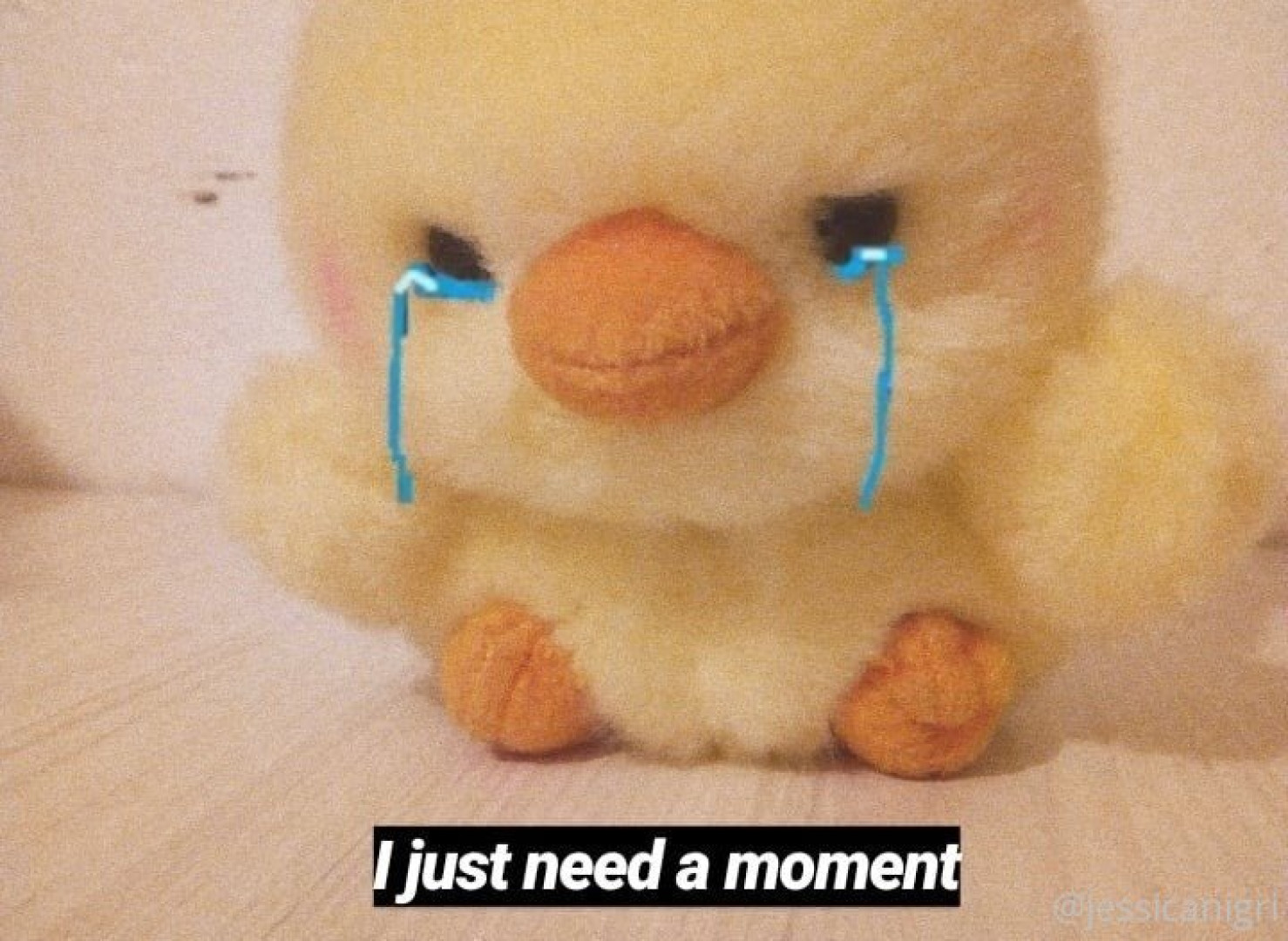 Photo by jessicanigri published on August 30,2023 06:59:26 - BestThots