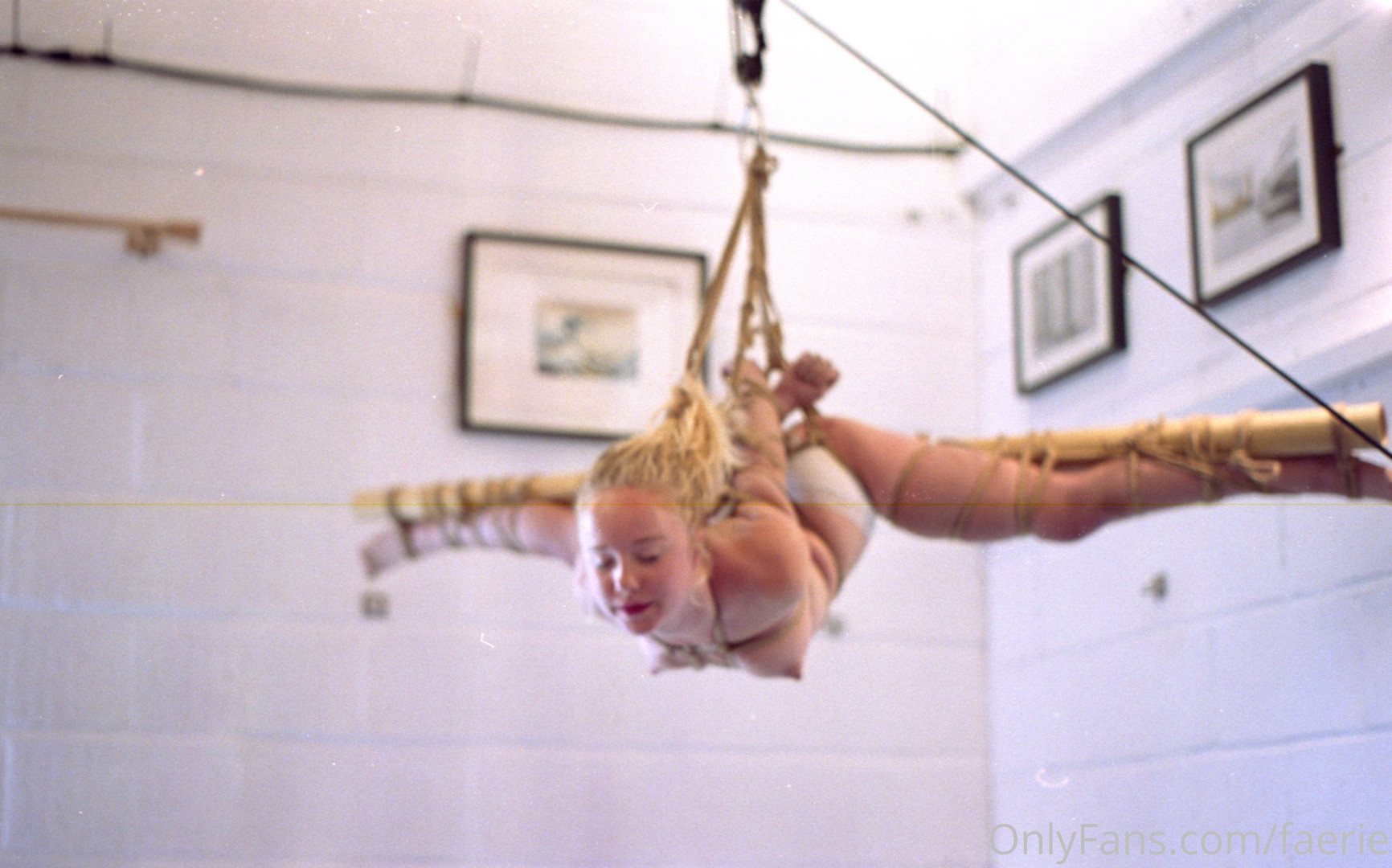 Photo by faerie published on January 14,2024 03:12:24 - BestThots