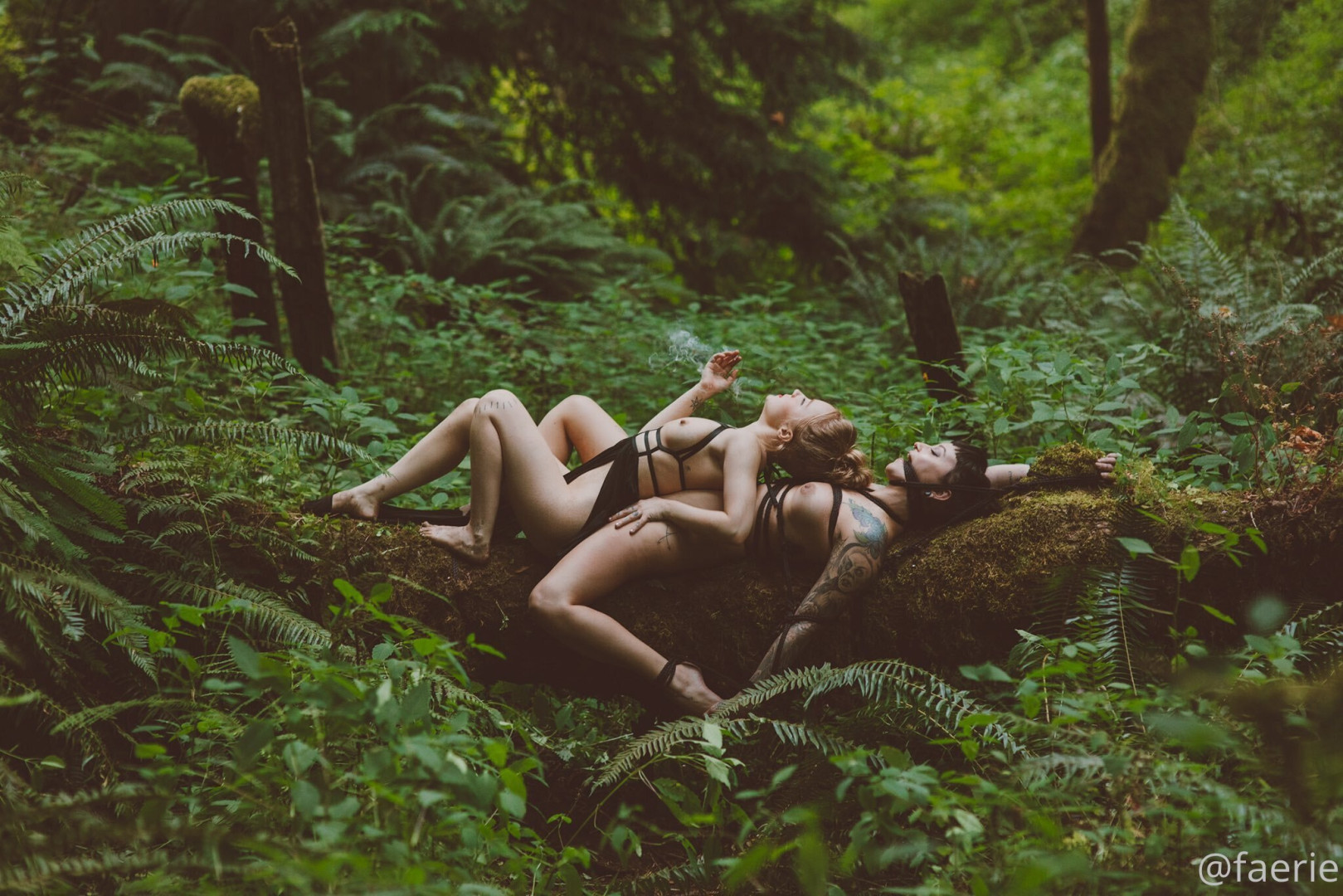 Photo by faerie published on January 14,2024 03:13:08 - BestThots