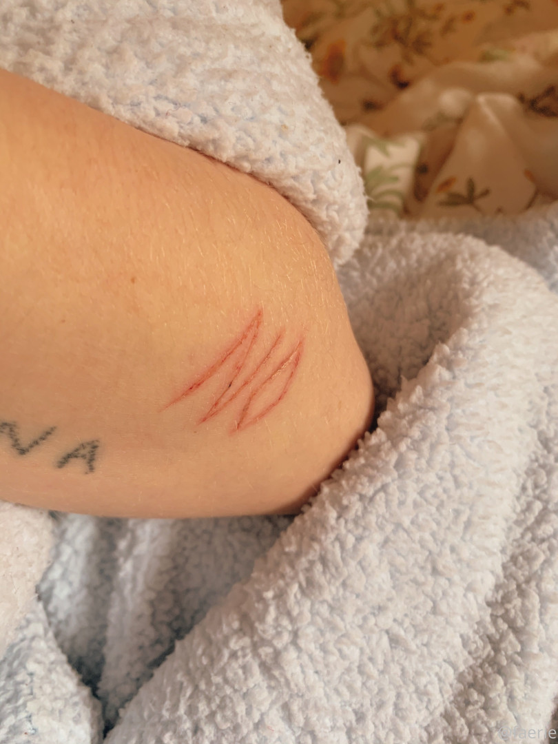 Photo by faerie published on January 14,2024 03:15:14 - BestThots