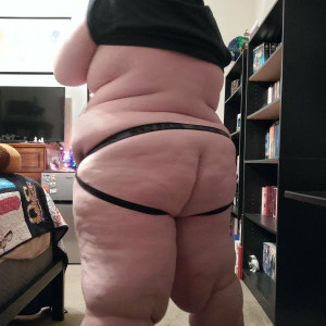 apollochub #8608501