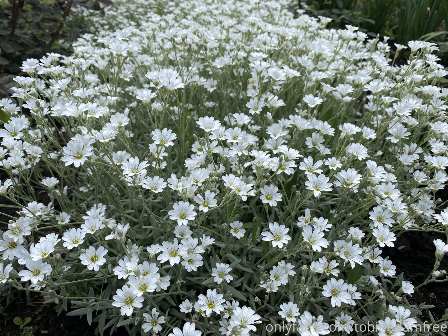 Photo by tobinedamfree published on July 2,2023 02:09:30 - BestThots