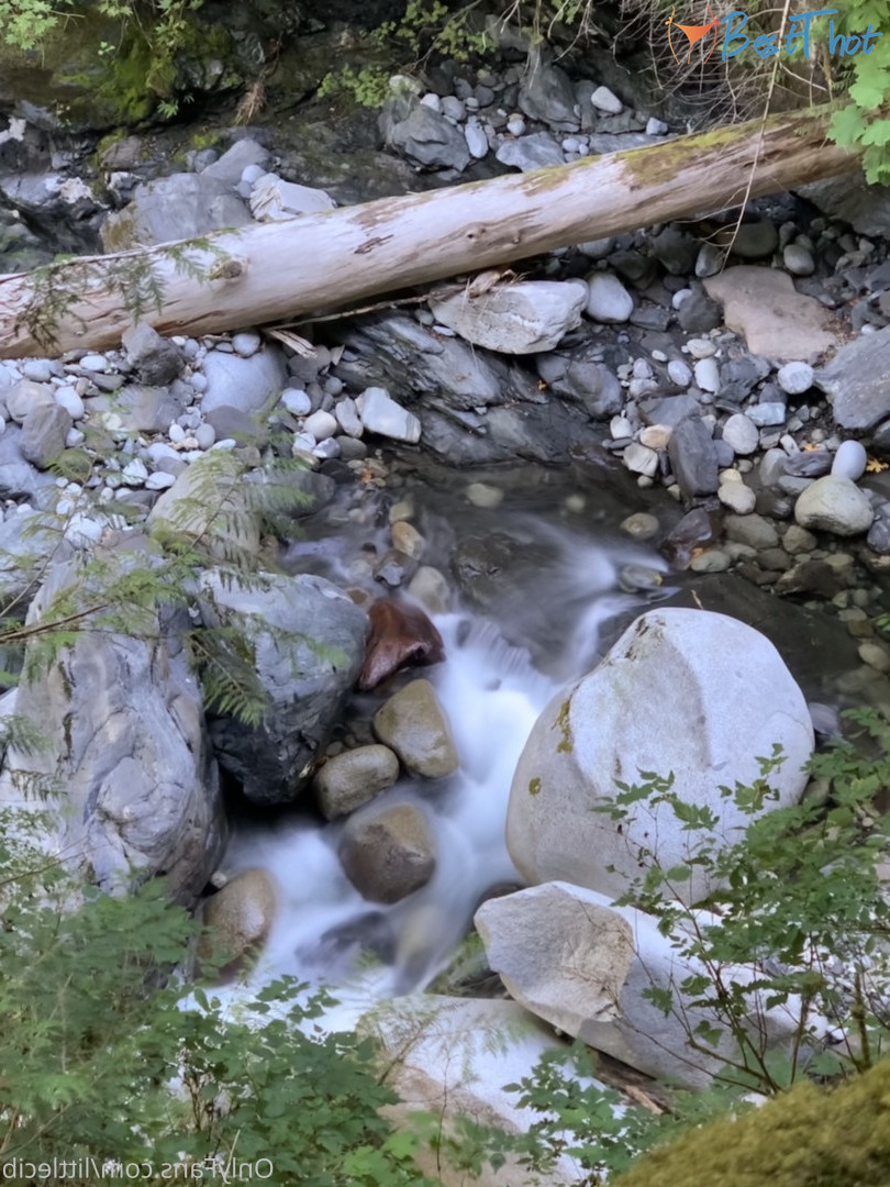 Photo by littlecib published on December 13,2024 16:01:42 - BestThots