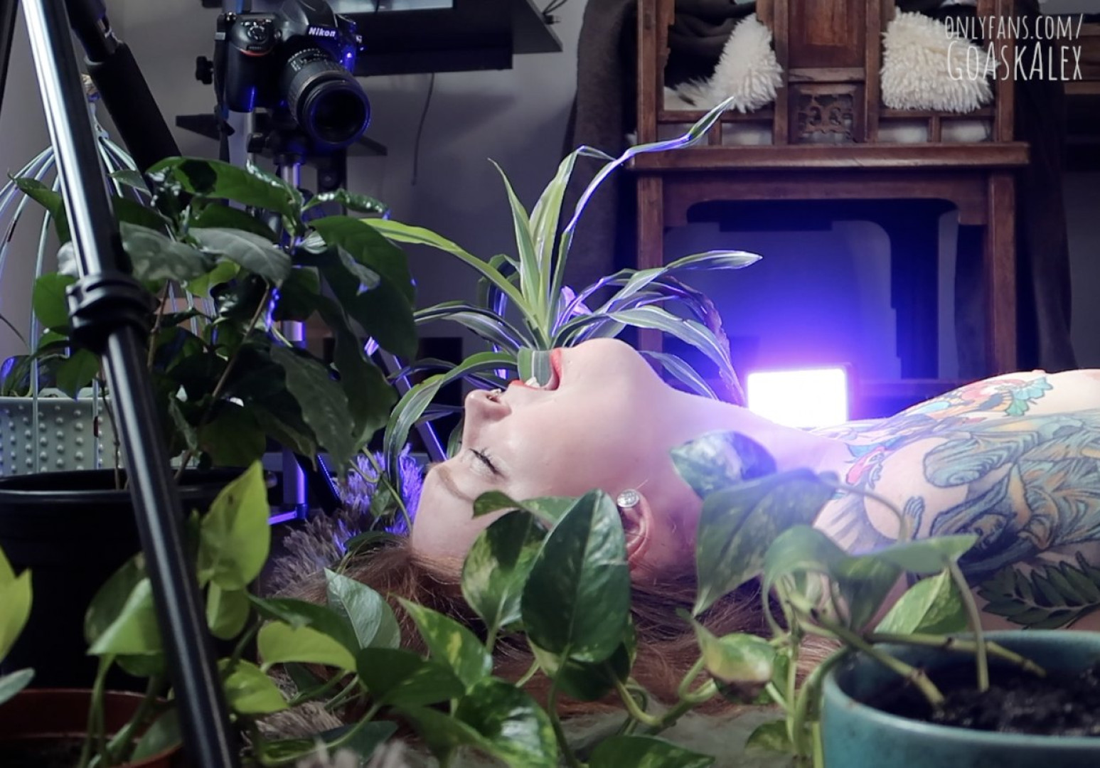 Photo by goaskalex published on October 17,2023 00:40:21 - BestThots