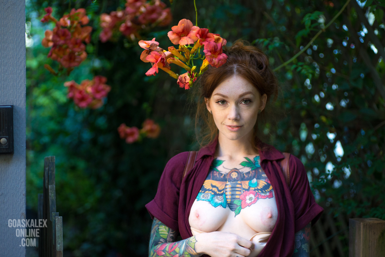 Photo by goaskalex published on October 17,2023 07:06:48 - BestThots