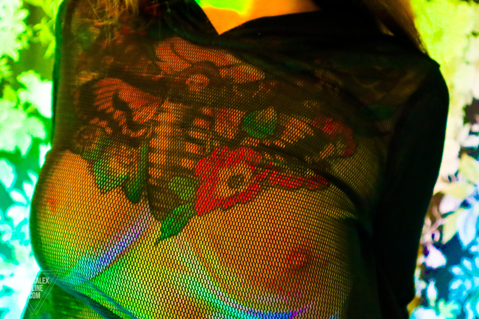 Photo by goaskalex published on October 17,2023 07:07:56 - BestThots