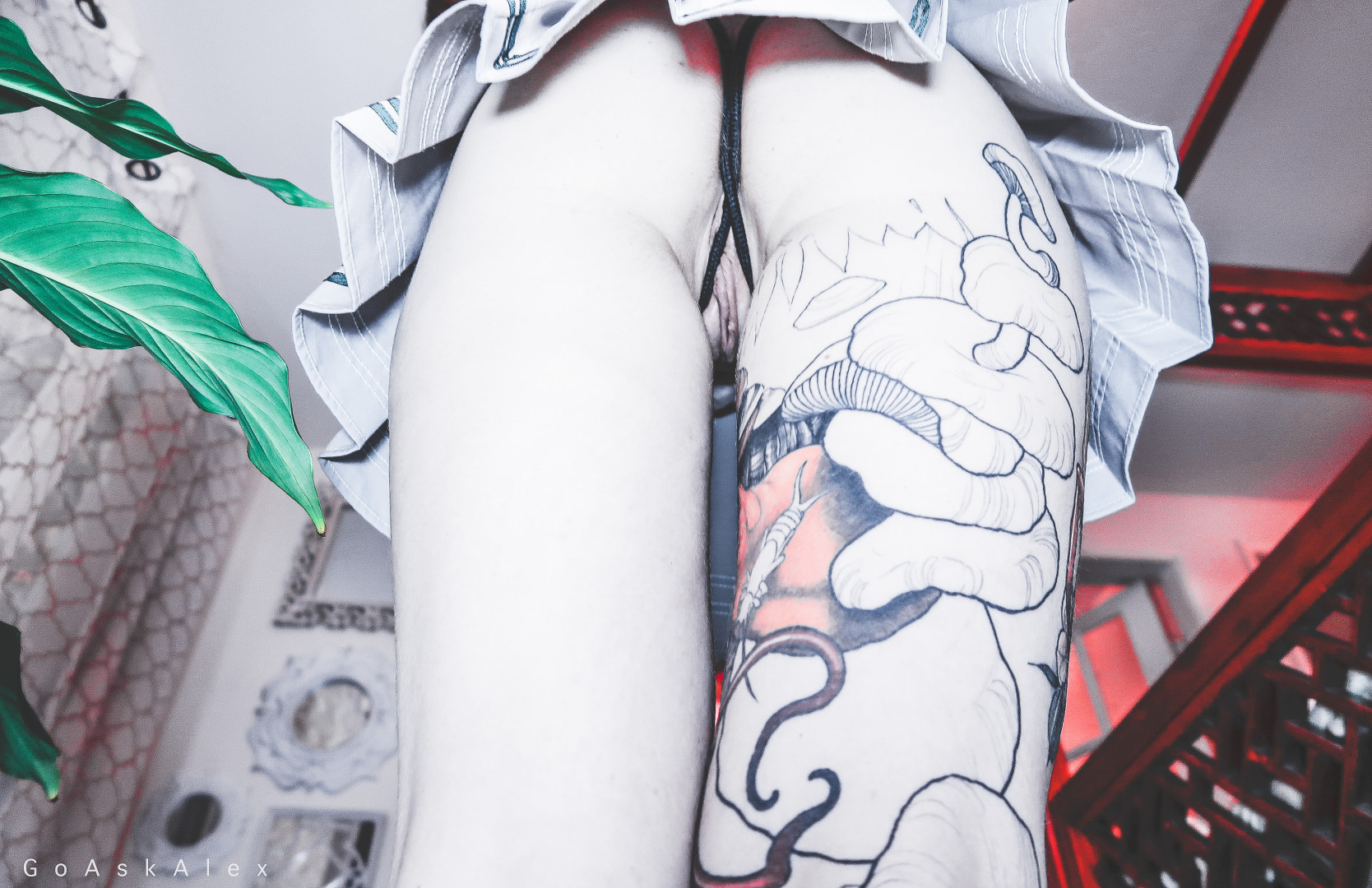 Photo by goaskalex published on October 17,2023 07:10:28 - BestThots