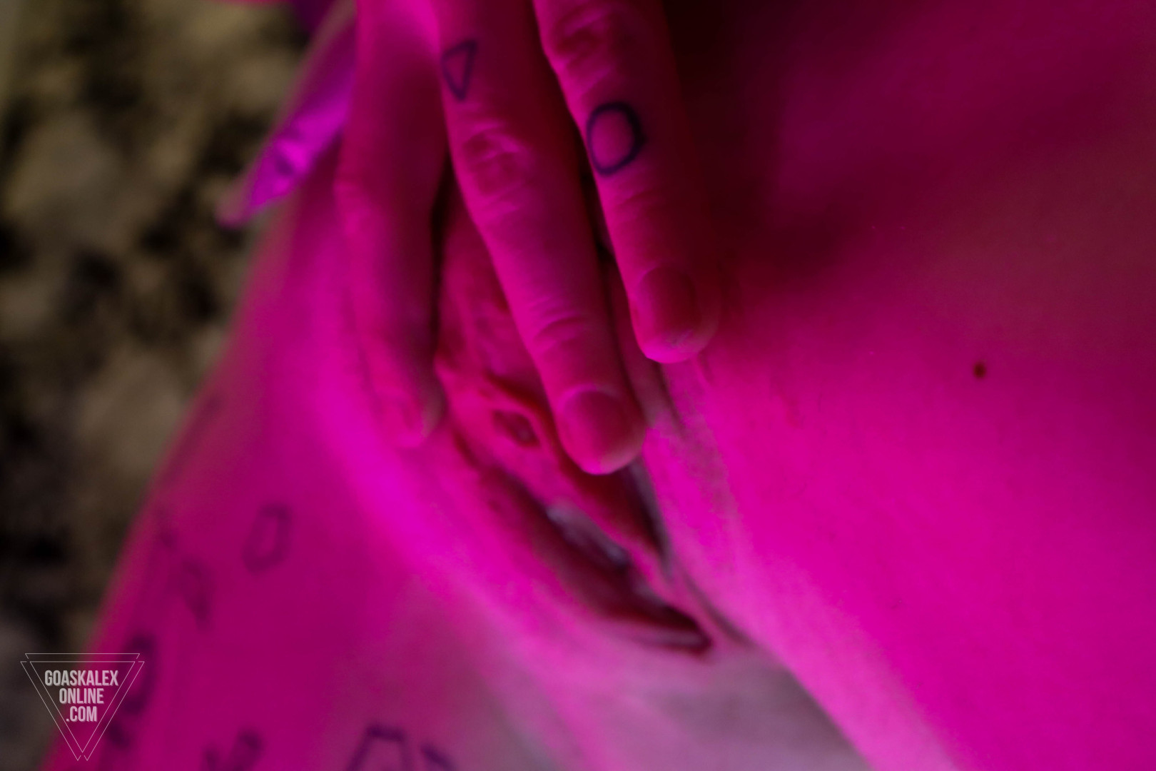 Photo by goaskalex published on October 17,2023 07:11:42 - BestThots