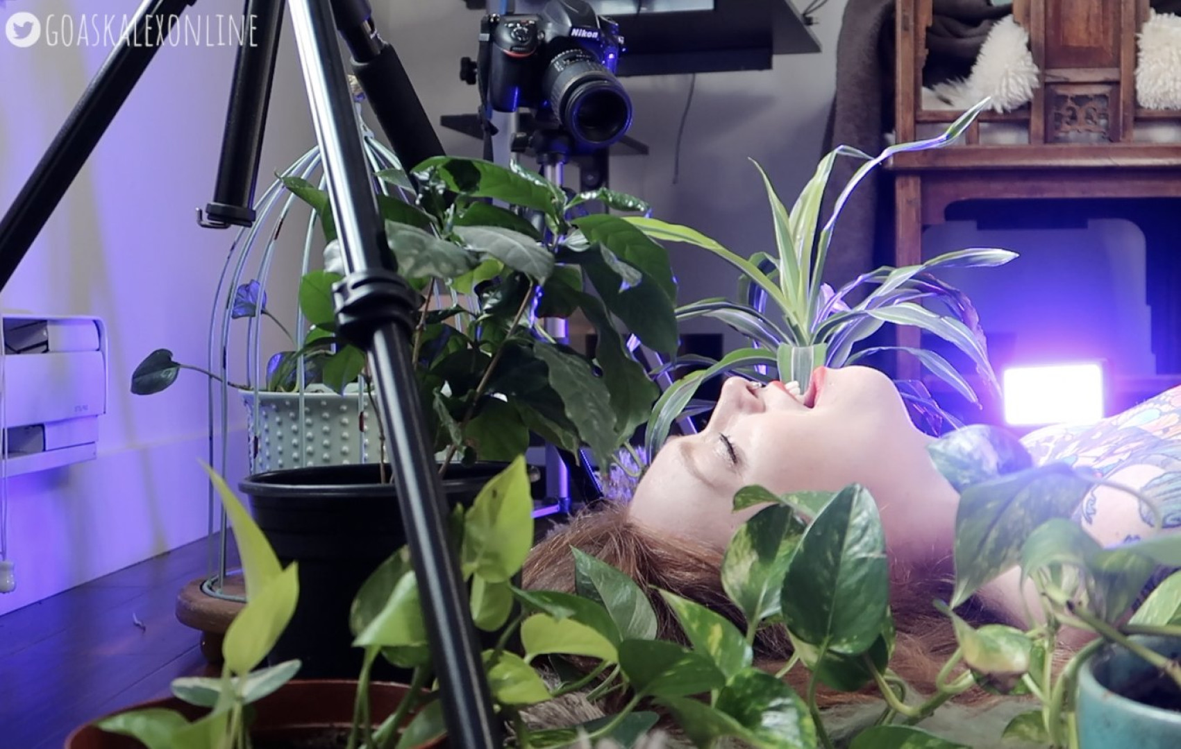 Photo by goaskalex published on October 17,2023 07:14:28 - BestThots