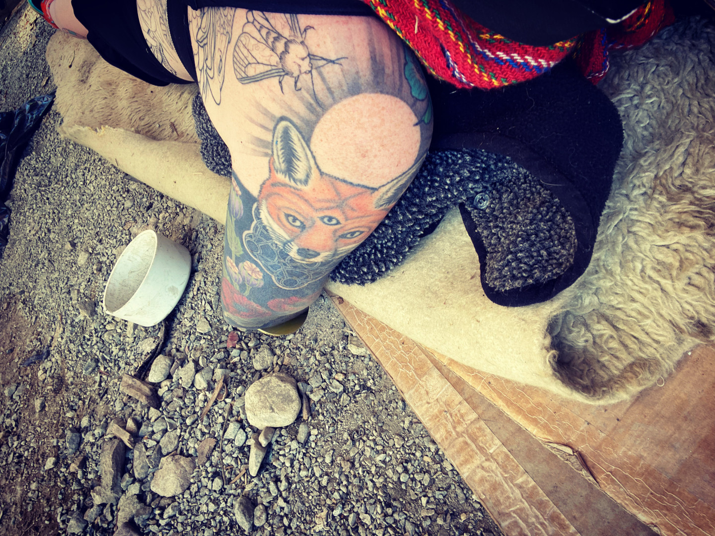 Photo by goaskalex published on October 17,2023 07:19:51 - BestThots